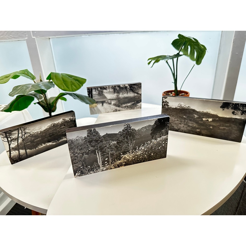 Patagonia Landscapes Nahuel Huapi Park‎ Vintage Mid-Century Photos on Wood
